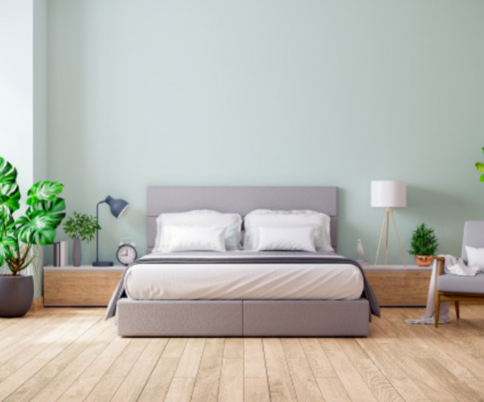 HomeTown Bolton Engineered Wood Box Storage Queen Size Bed in Wenge Colour