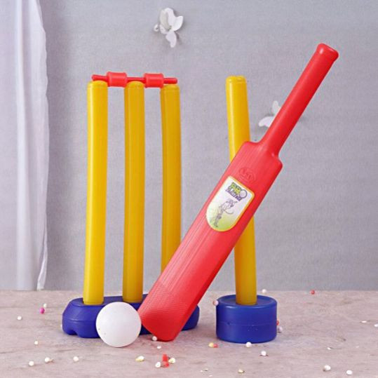 Bat & Ball Cricket Kit